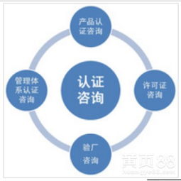 廣州信息技術(shù)咨詢服務(wù)行業(yè)現(xiàn)狀與發(fā)展趨勢