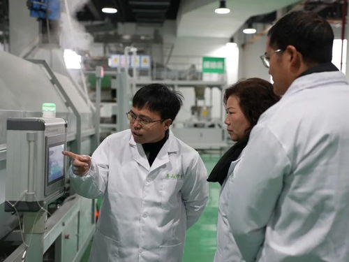 屏山茶葉新技術培訓引領產業升級，信息技術咨詢服務助力提質增效